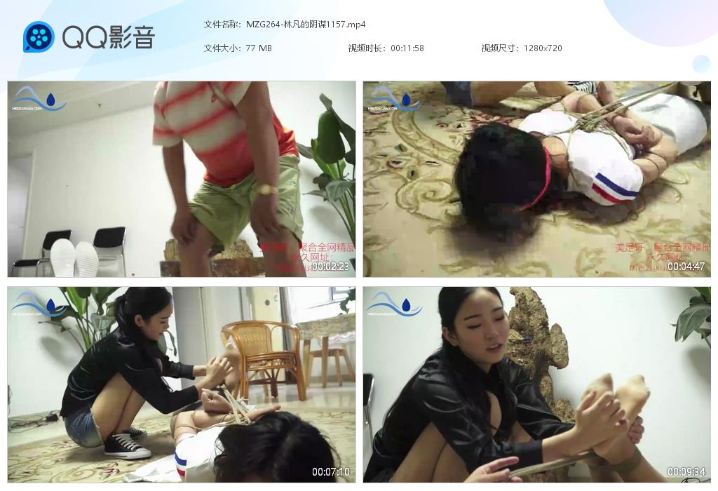 MZG264-林凡的阴谋